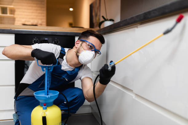 Flea Control Services in Woodfield, SC