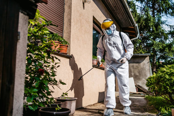 Best Best Pest Control Companies  in Woodfield, SC
