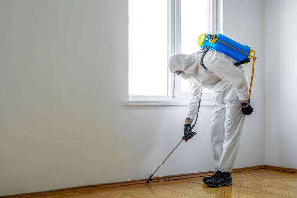 Best Mosquito Control Services  in Woodfield, SC