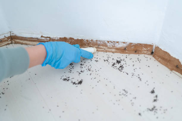 Best Pest Prevention Services  in Woodfield, SC