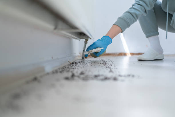 Best Pest Removal Services  in Woodfield, SC