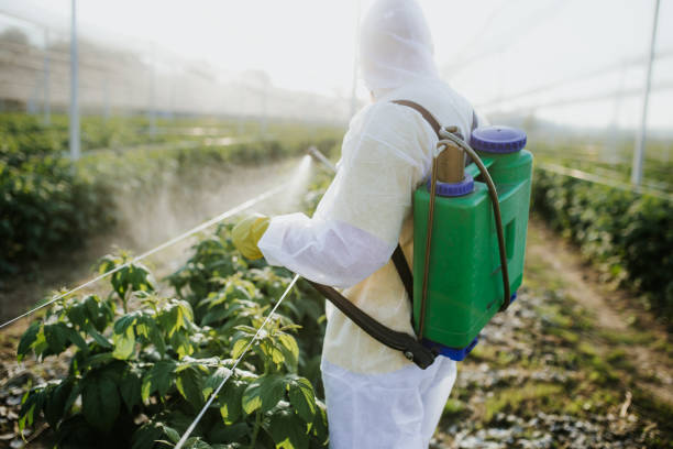 Best Wasp Removal Services  in Woodfield, SC